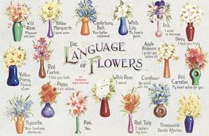 The Language of Flowers